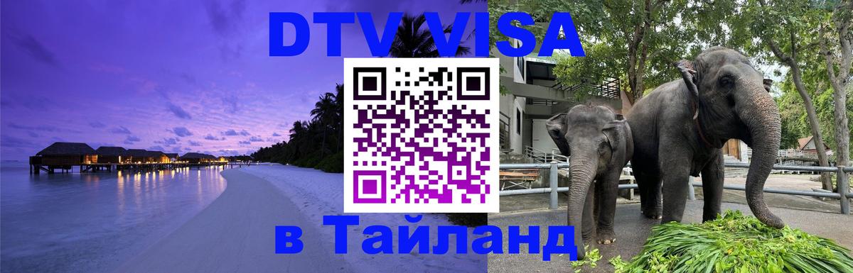 Visa ДТВ Тайланд помощь 